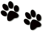 renaissance_dobermans005001.gif