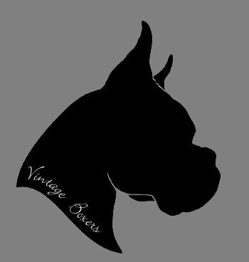 renaissance_dobermans007004.jpg