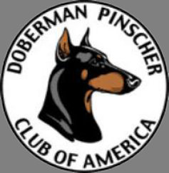 renaissance_dobermans007005.jpg